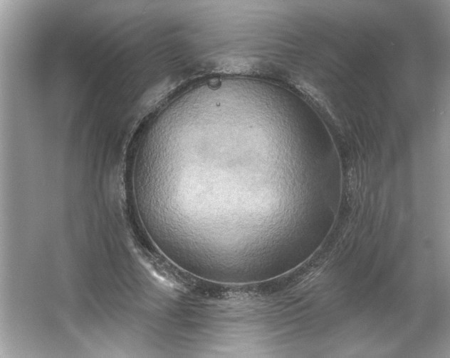 X0000067350682200604071426