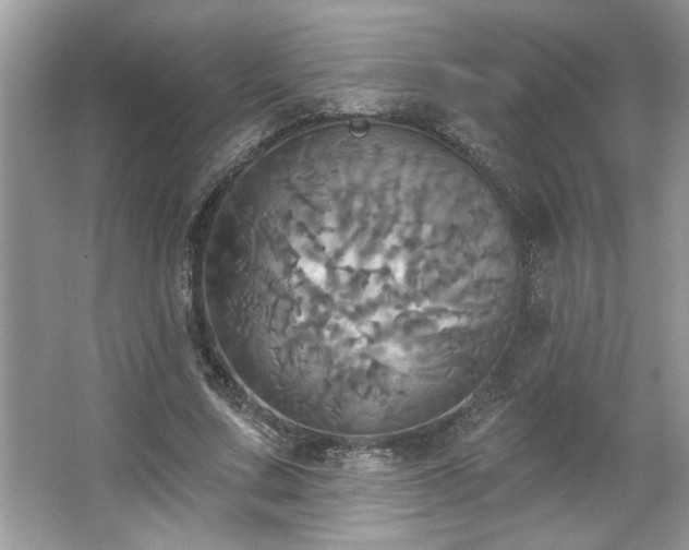 X0000067350683200604071426