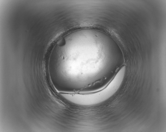 X0000067350684200604071426