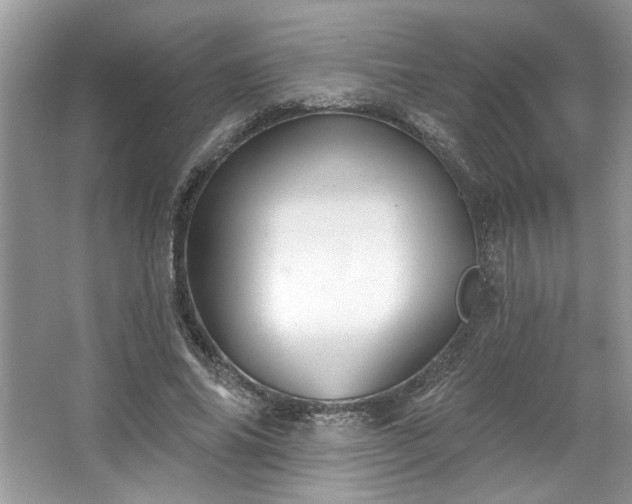 X0000067350686200604071426