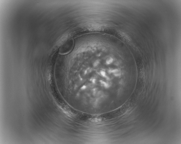 X0000067350687200604071426