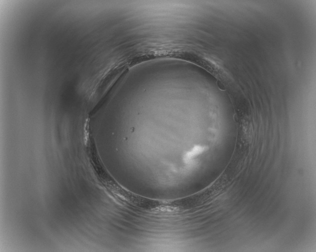 X0000067350691200604071426