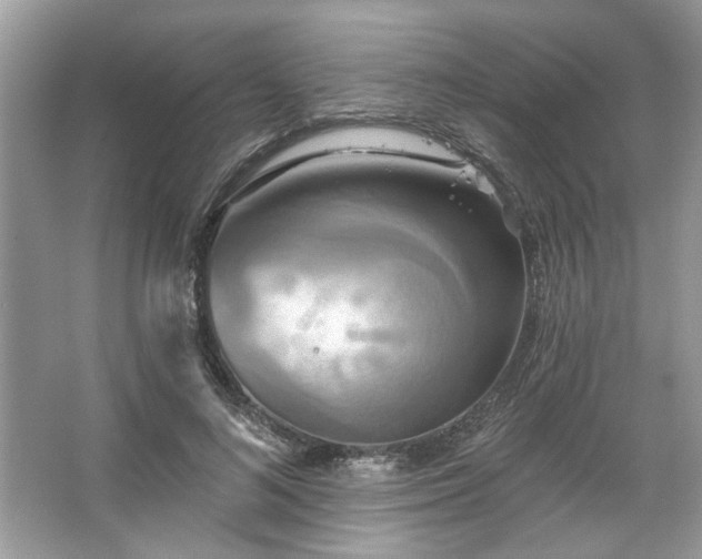 X0000067350692200604071426