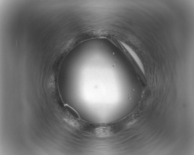 X0000067350700200604071426