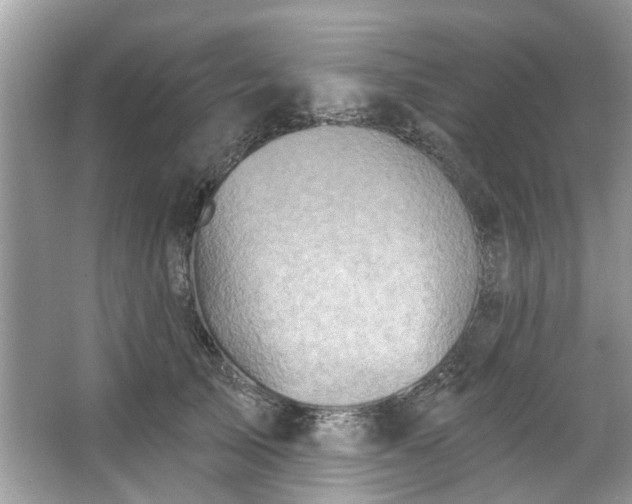 X0000067350705200604071426