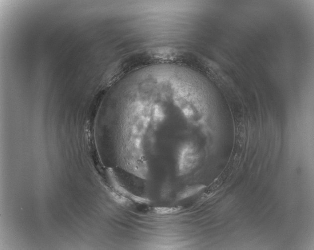 X0000067350707200604071426