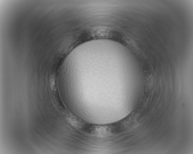 X0000067350709200604071425