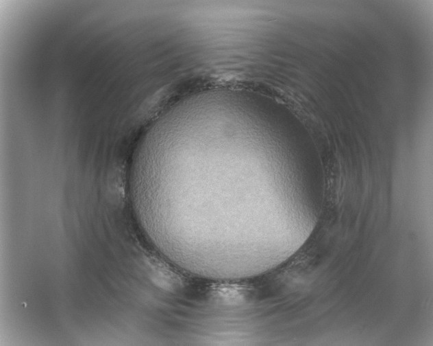 X0000067350710200604071425