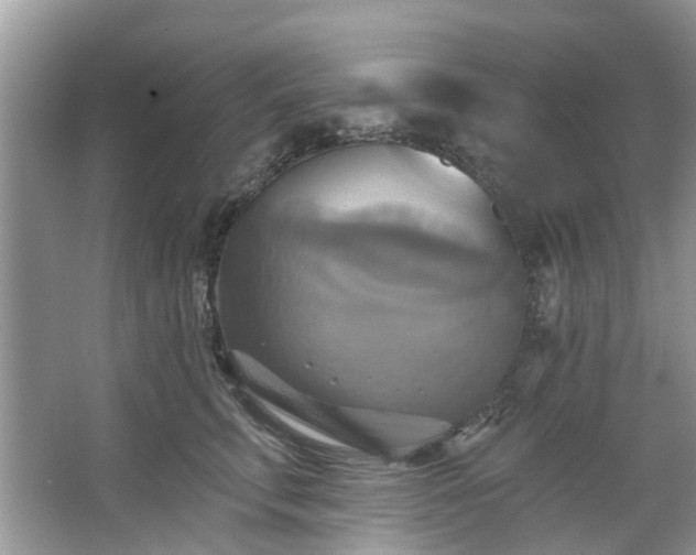 X0000067350711200604071425