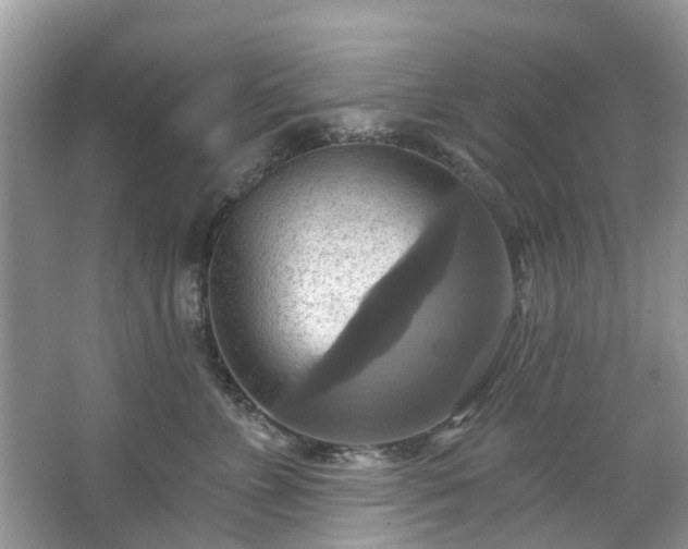 X0000067350715200604071425