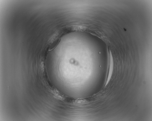 X0000067350716200604071425