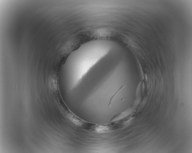 X0000067350718200604071425