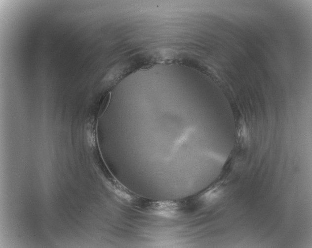 X0000067350719200604071425