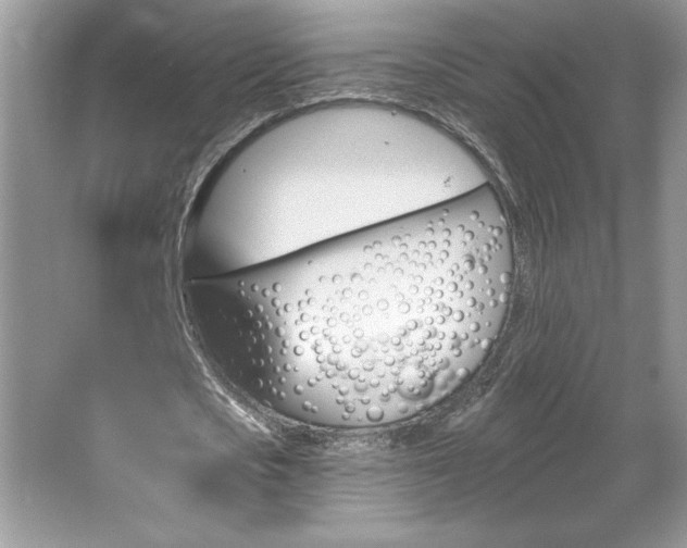 X0000067350721200604071425