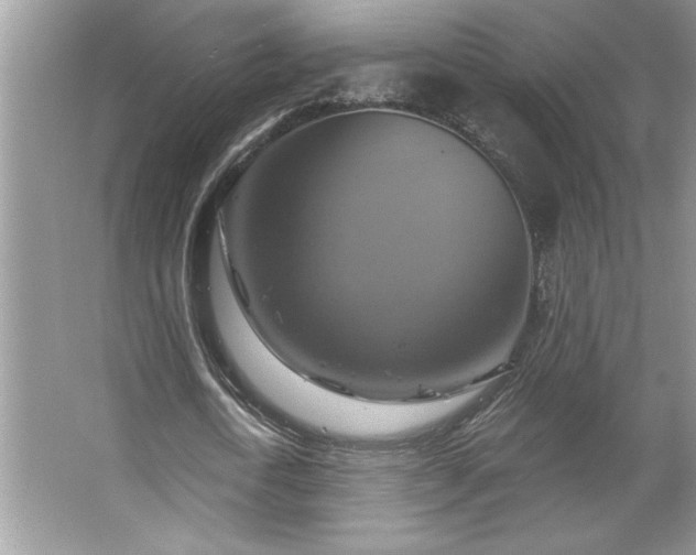 X0000067350722200604071425