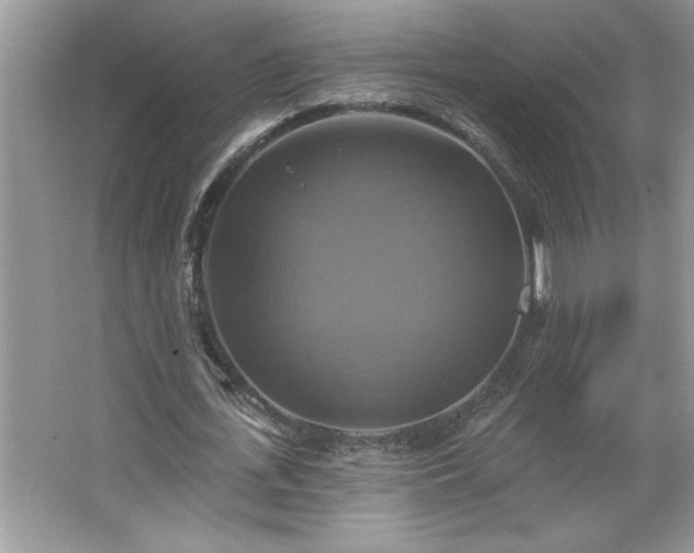 X0000067350723200604071425