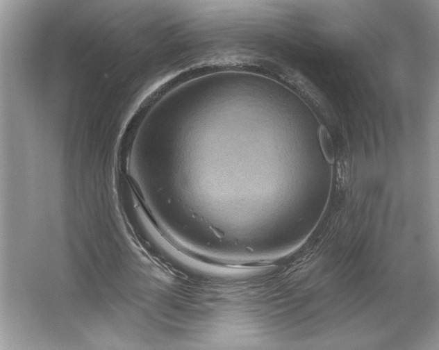 X0000067350724200604071425