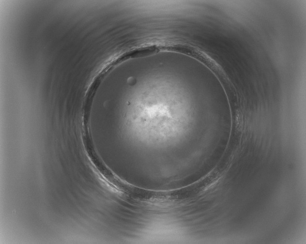 X0000067350725200604071425