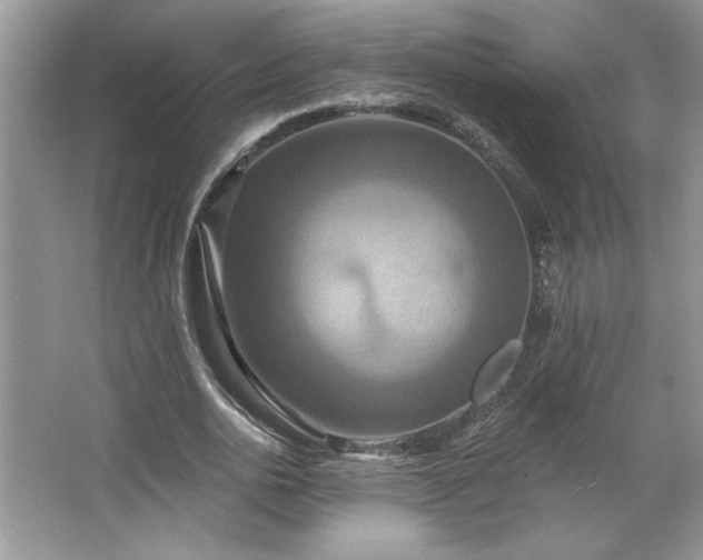 X0000067350726200604071425