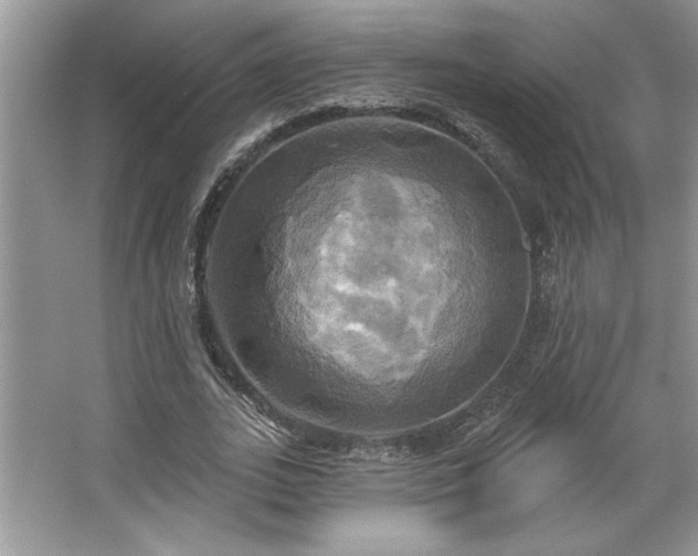 X0000067350727200604071425