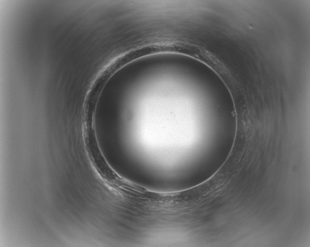 X0000067350728200604071425