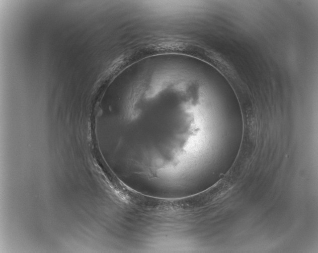 X0000067350729200604071425