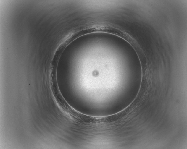 X0000067350730200604071425