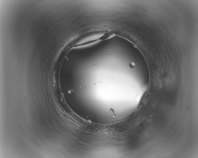 X0000067350731200604071425