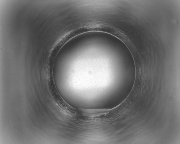 X0000067350732200604071425