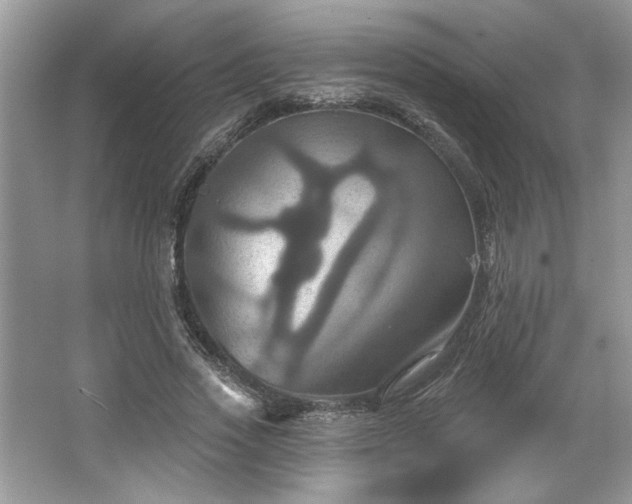 X0000067350733200604071425