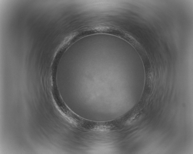 X0000067350734200604071425