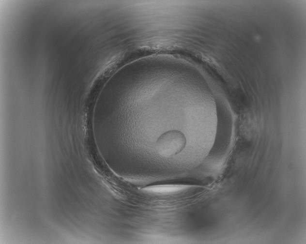 X0000067350735200604071425