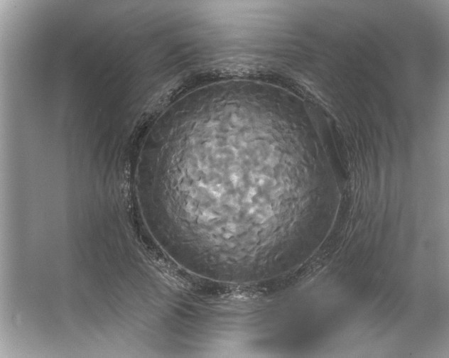 X0000067350737200604071425