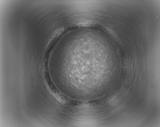 X0000067350738200604071425