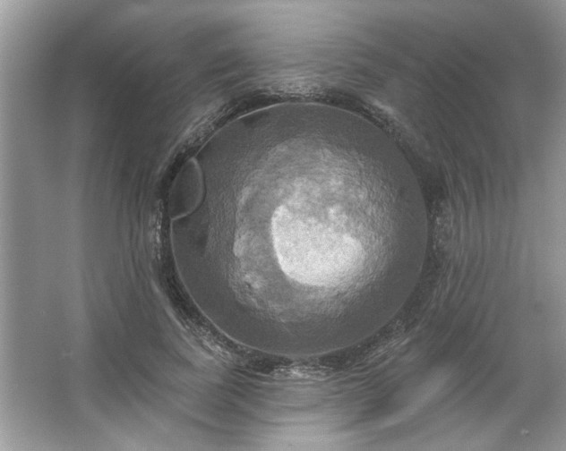 X0000067350739200604071425