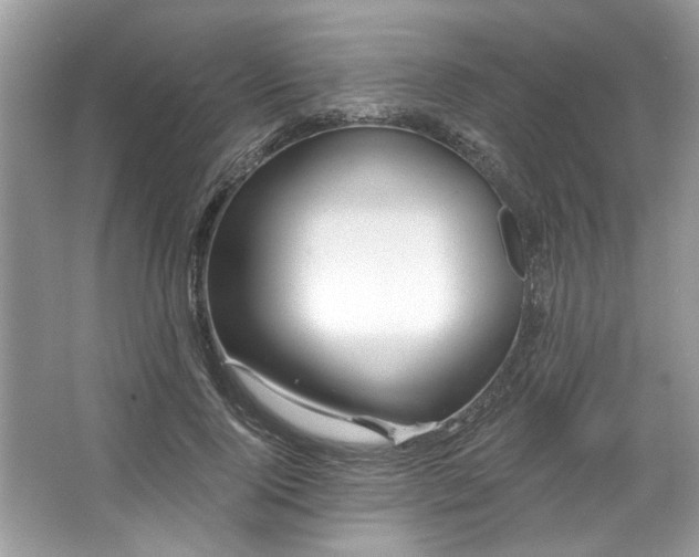 X0000067350740200604071425