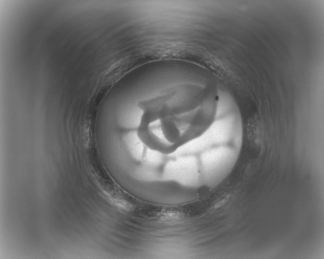 X0000067350741200604071425