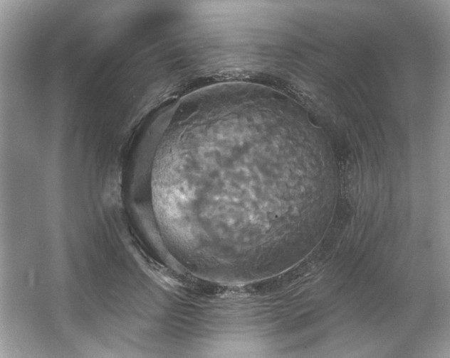 X0000067350742200604071425