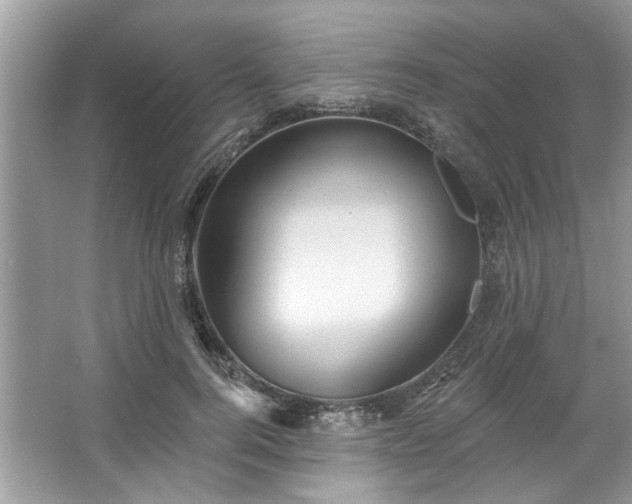 X0000067350744200604071425