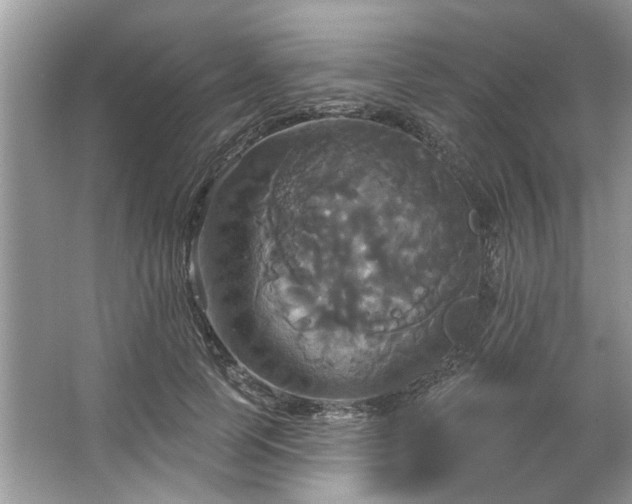 X0000067350745200604071425