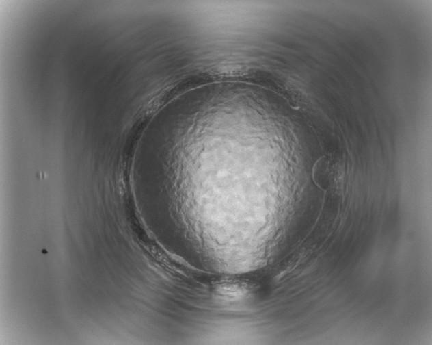 X0000067350746200604071425