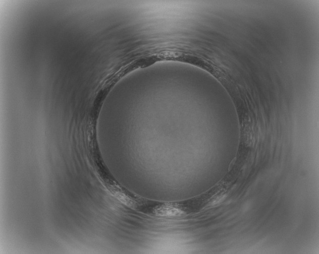 X0000067350747200604071425