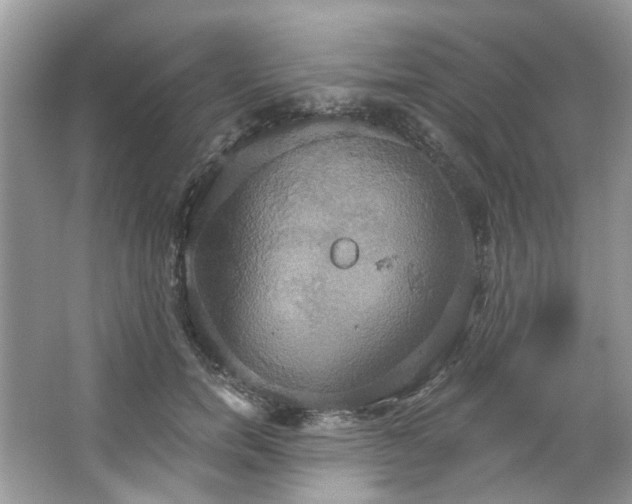 X0000067350750200604071425