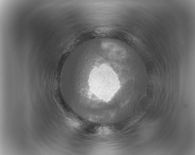 X0000067350751200604071425