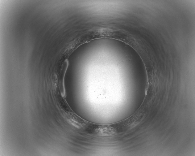 X0000067350752200604071425