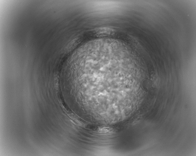 X0000067350753200604071425