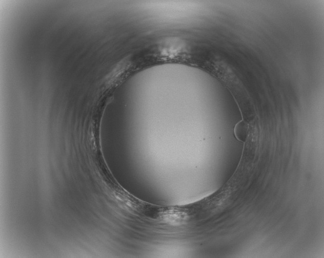 X0000067350754200604071425