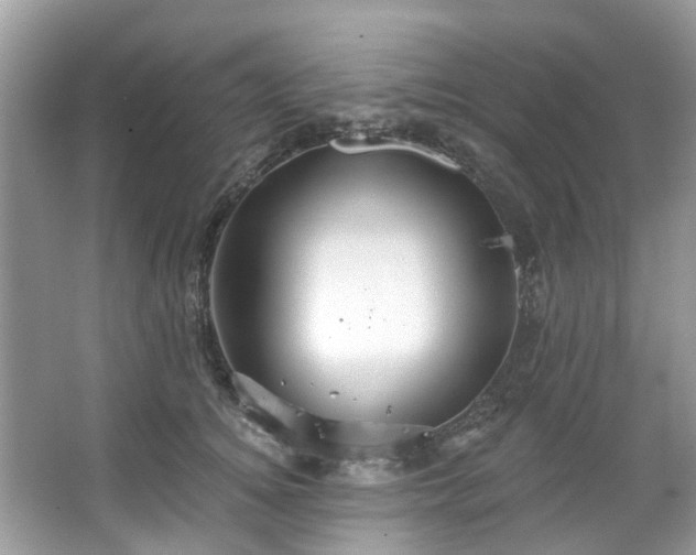 X0000067350756200604071425