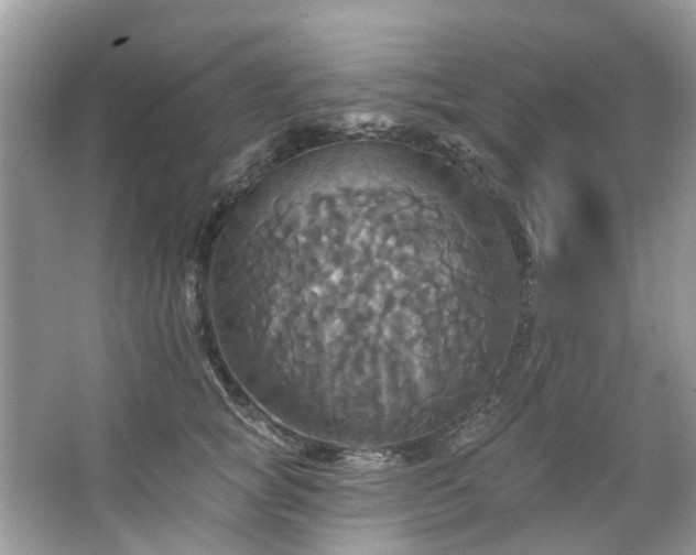 X0000067350757200604071425