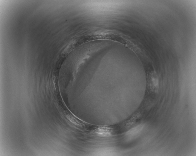 X0000067350758200604071425